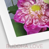 Buddha Love